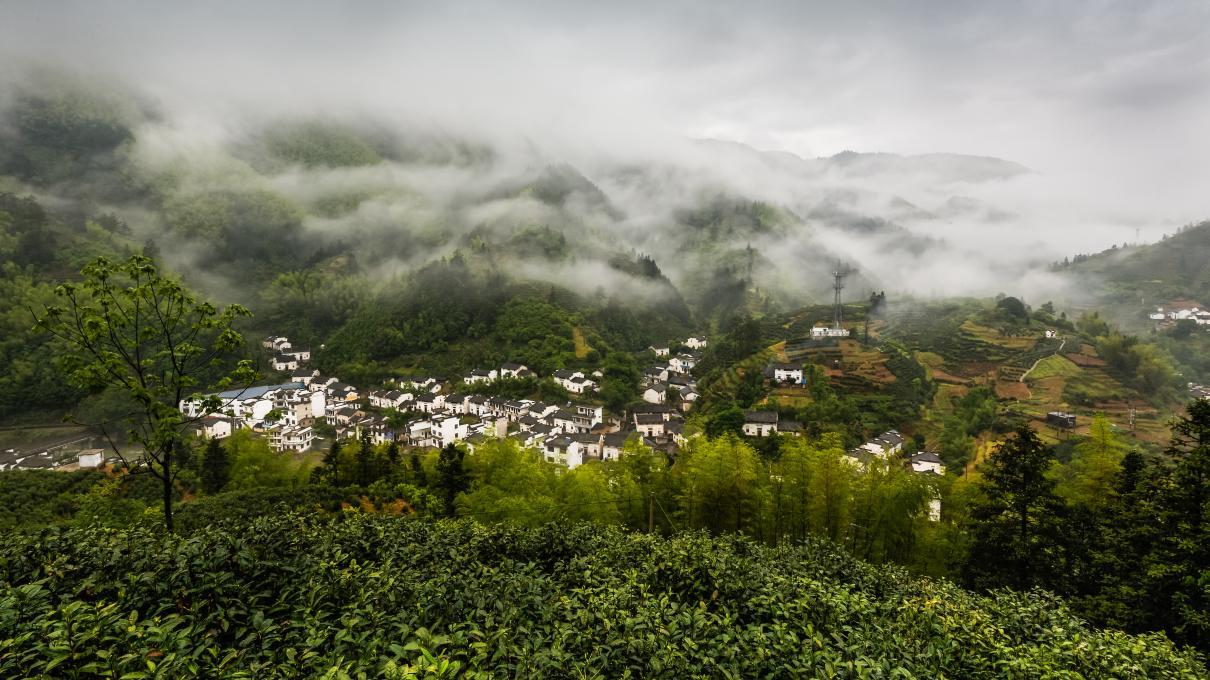 石台天方富硒茶公司