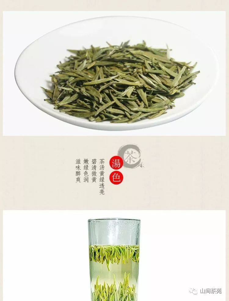 陕西紫阳富硒茶炒青