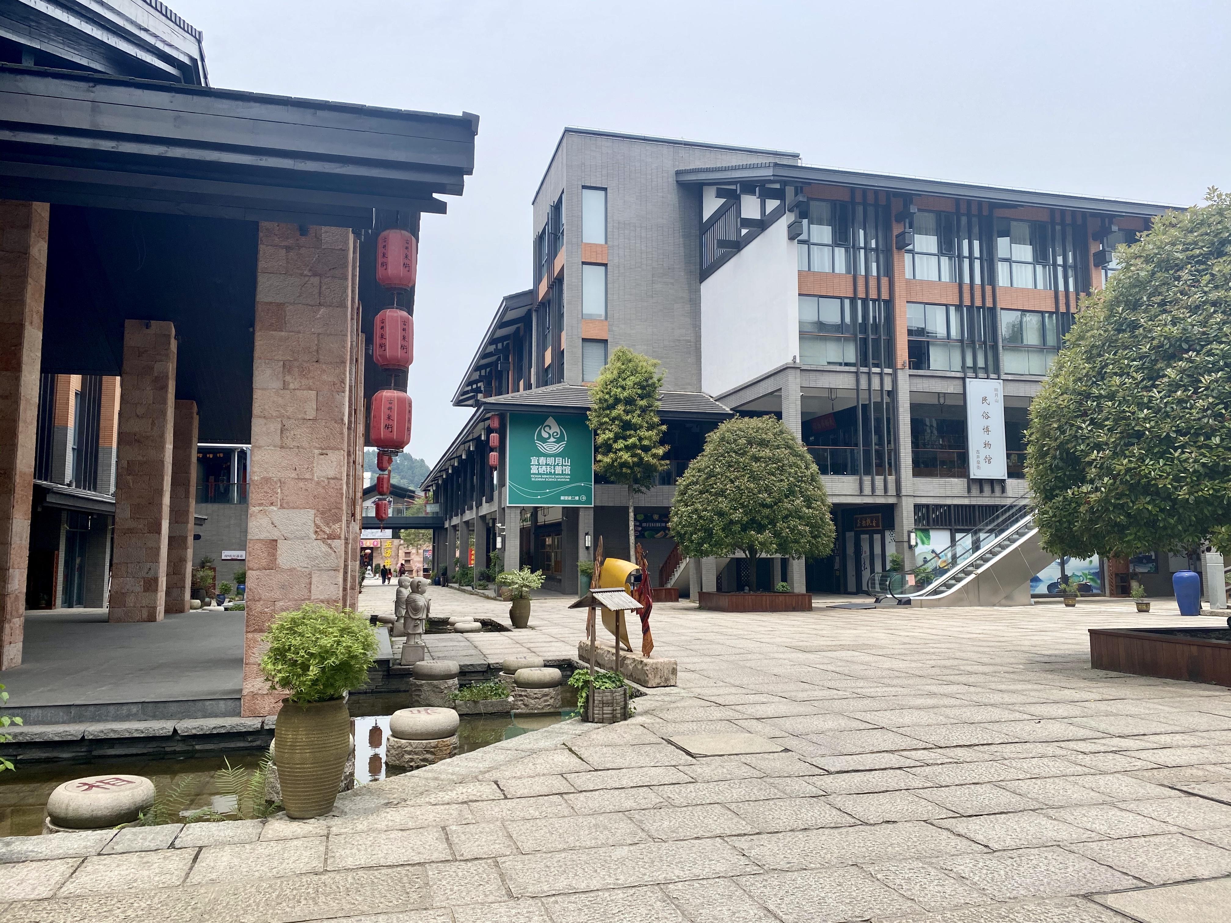 青龙春 富硒茶价格