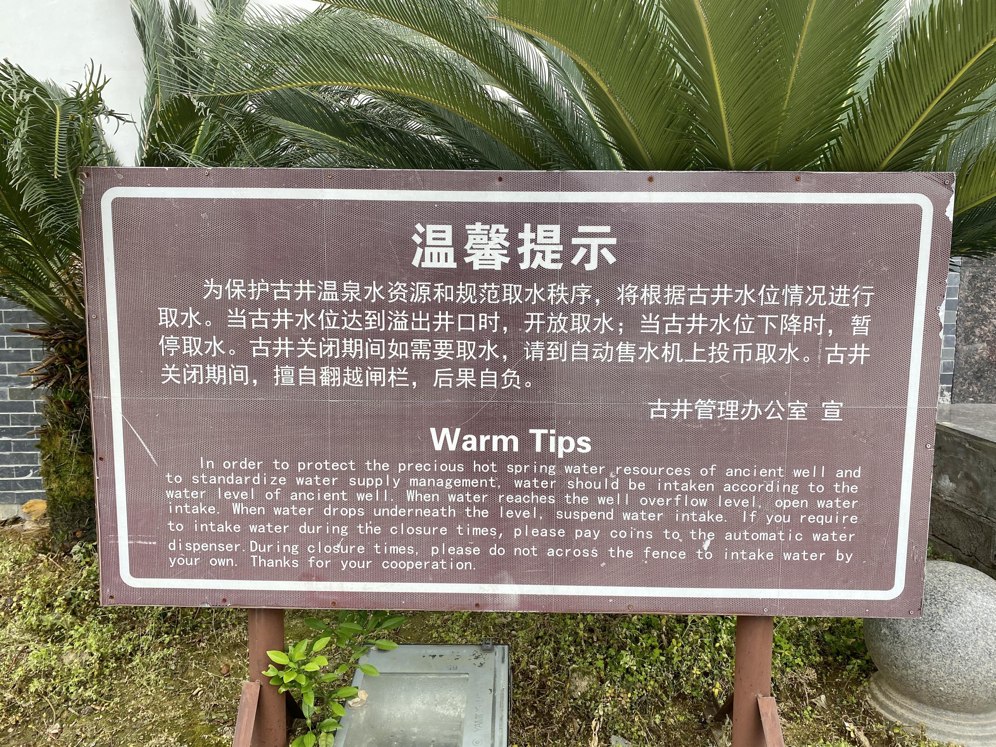 青龙春 富硒茶价格