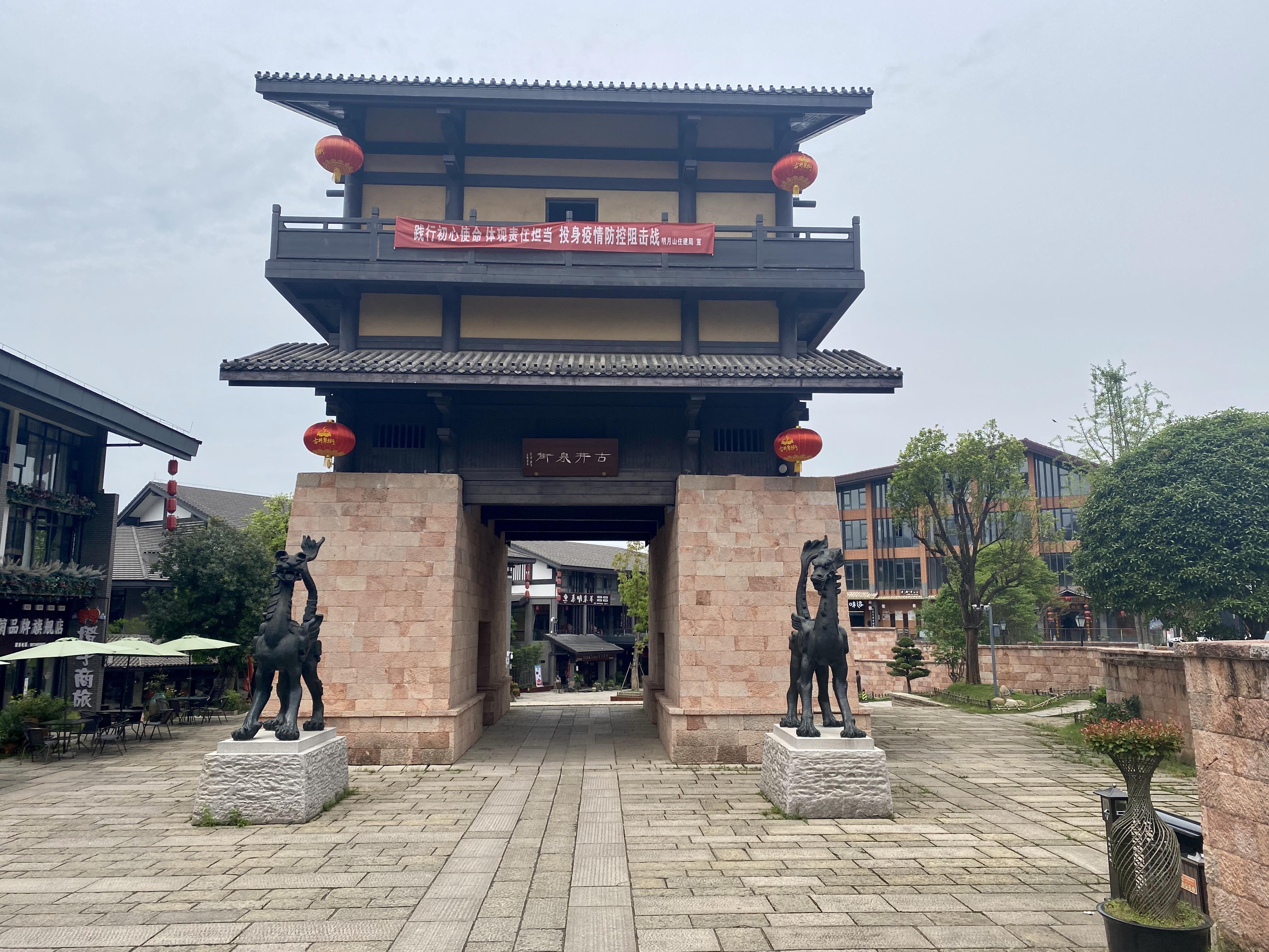 青龙春 富硒茶价格