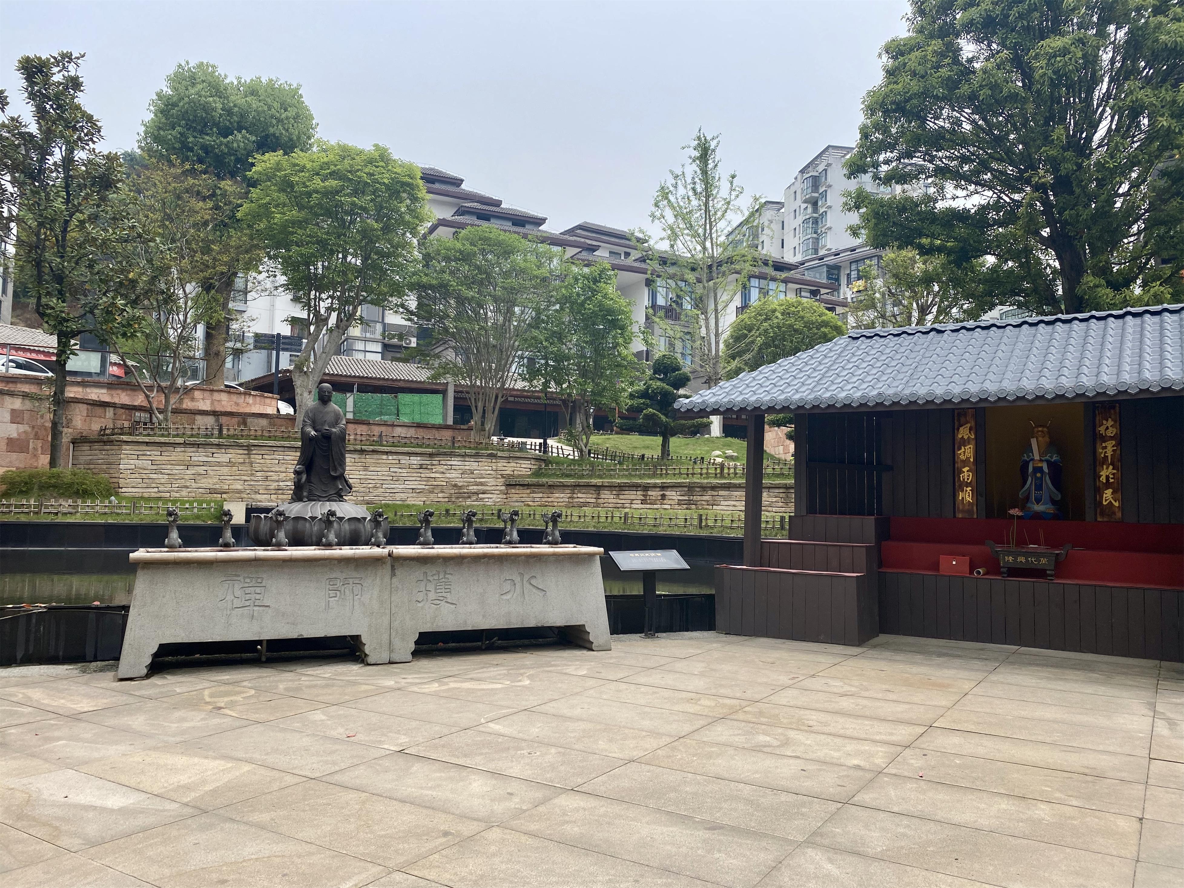 青龙春 富硒茶价格