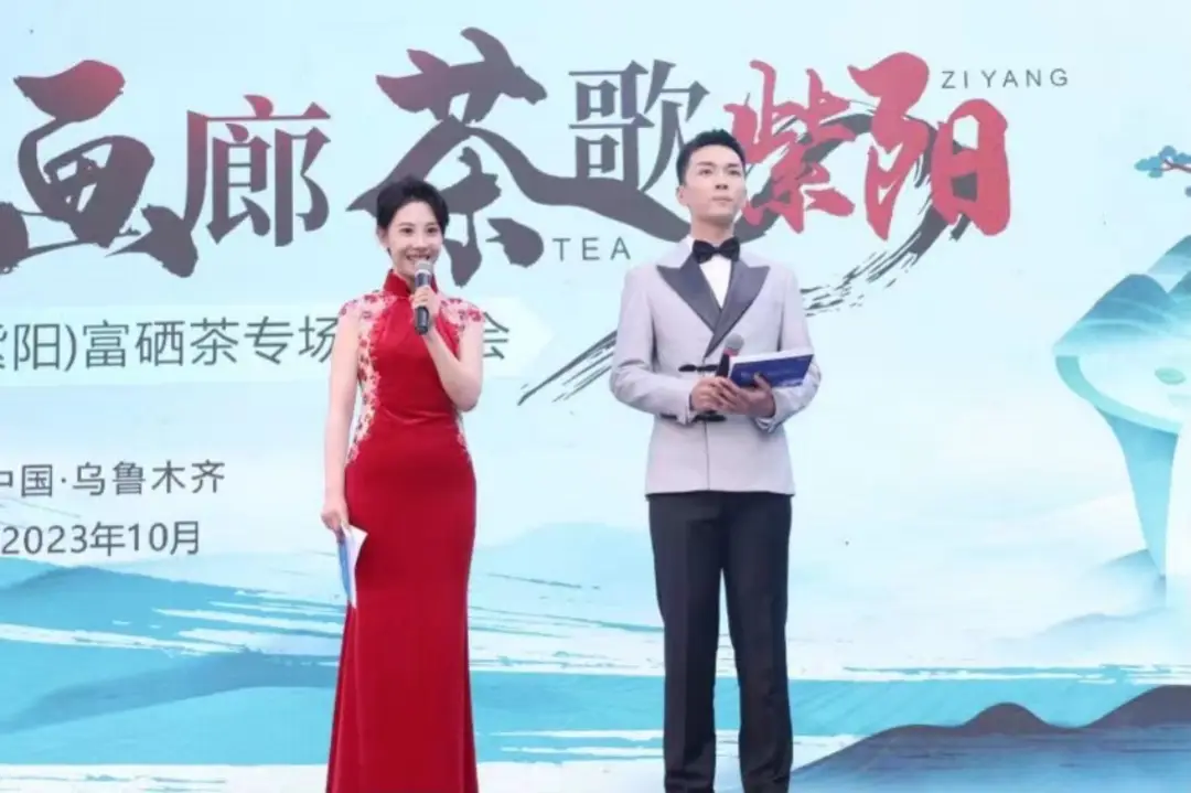 陕西紫阳富硒茶储藏