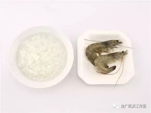 食补锌什么食物最佳