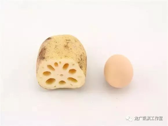 食补锌什么食物最佳