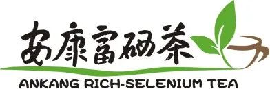 紫阳富硒茶采摘季节