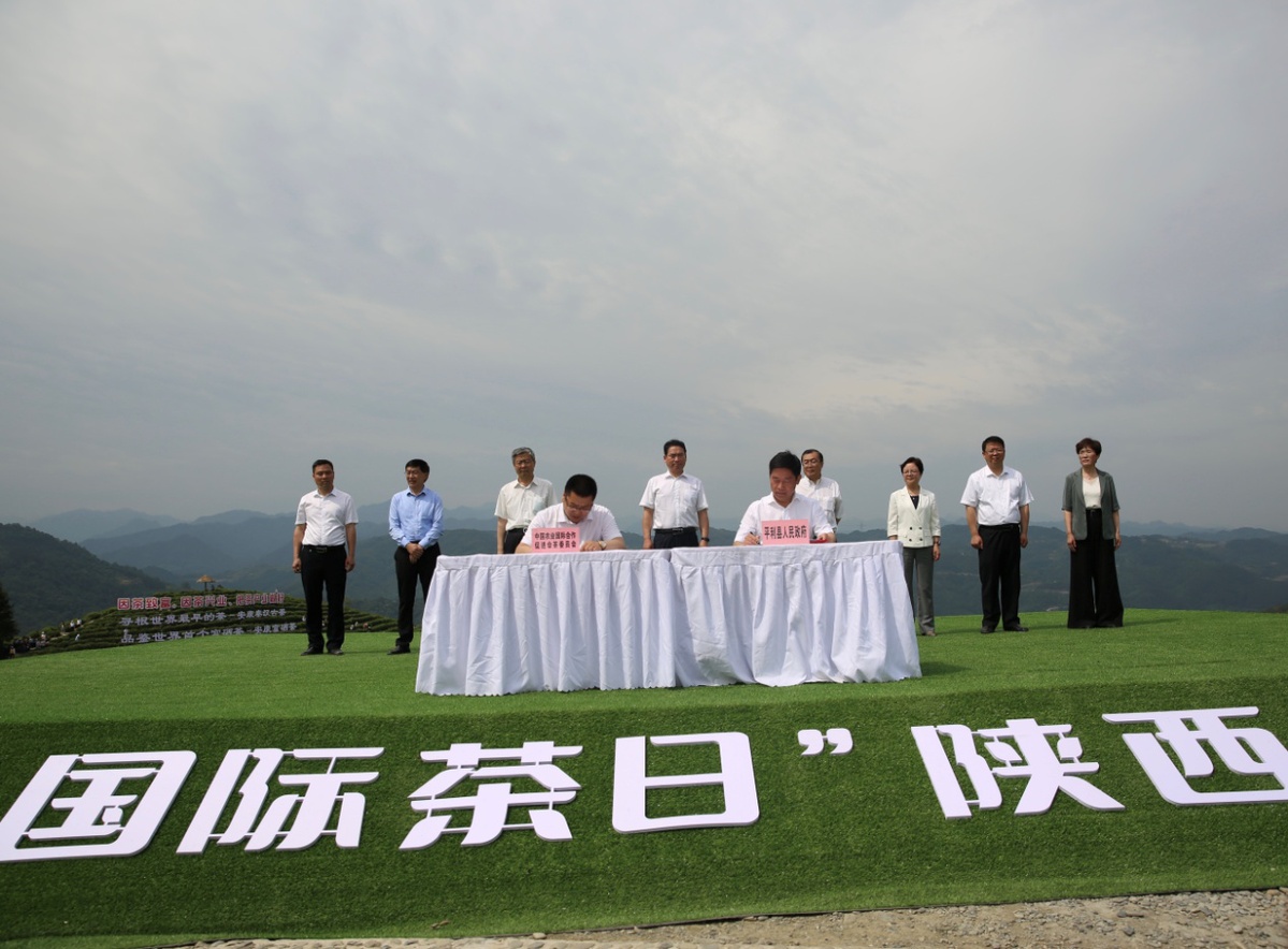 陕西富硒茶开园仪式