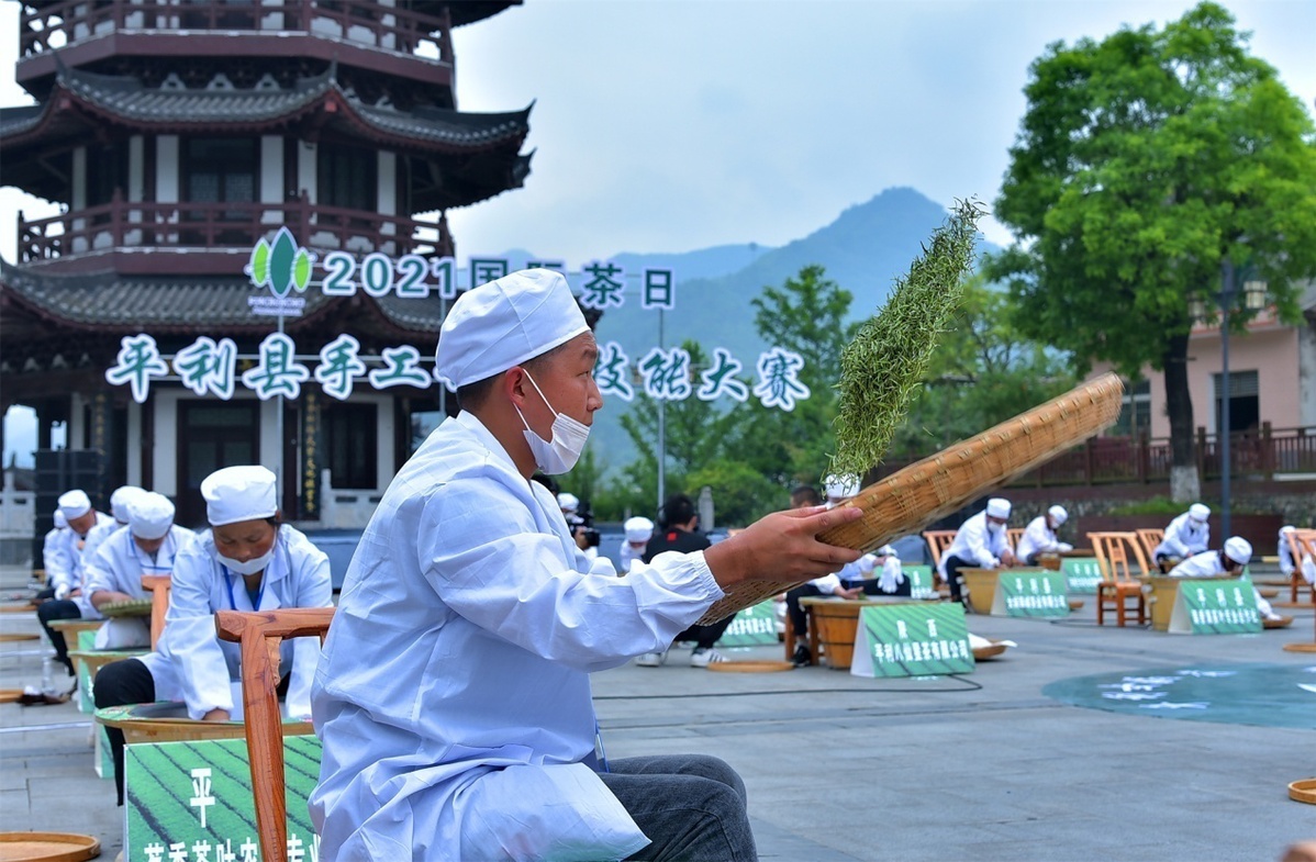 陕西富硒茶开园仪式