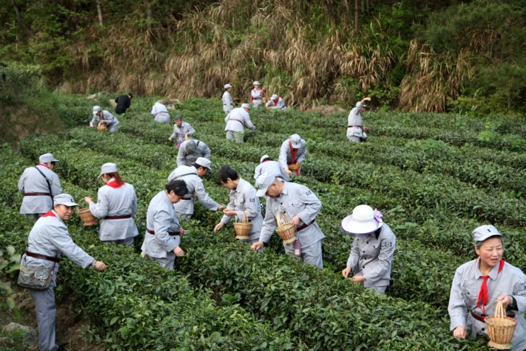 茶道印象恩施富硒茶