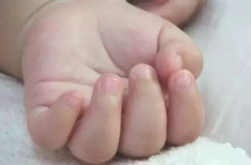 微量元素五项
