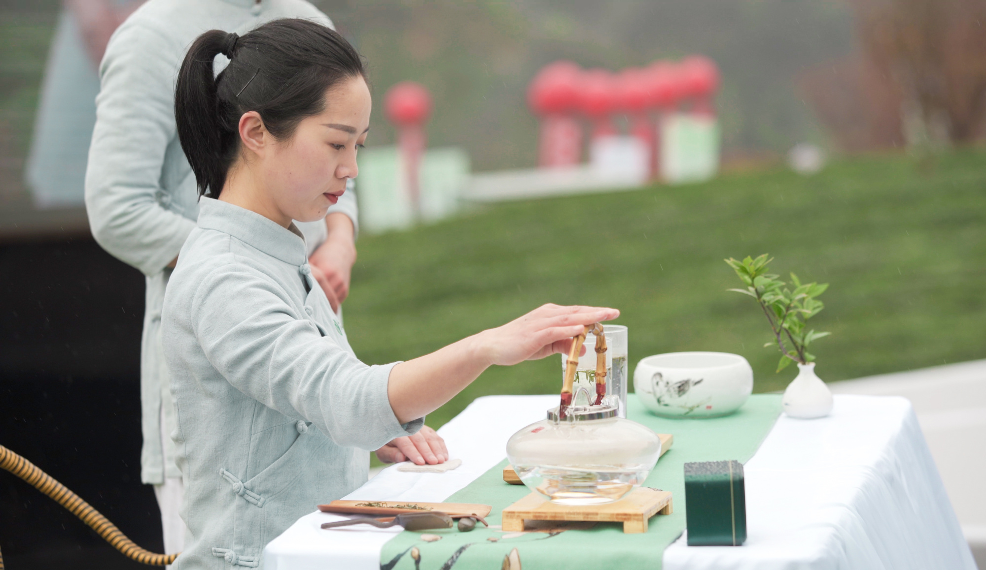 紫阳富硒茶手工制作
