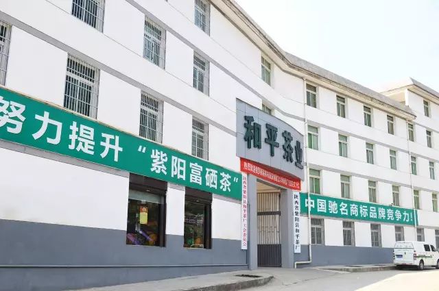 紫阳富硒茶宣传文章