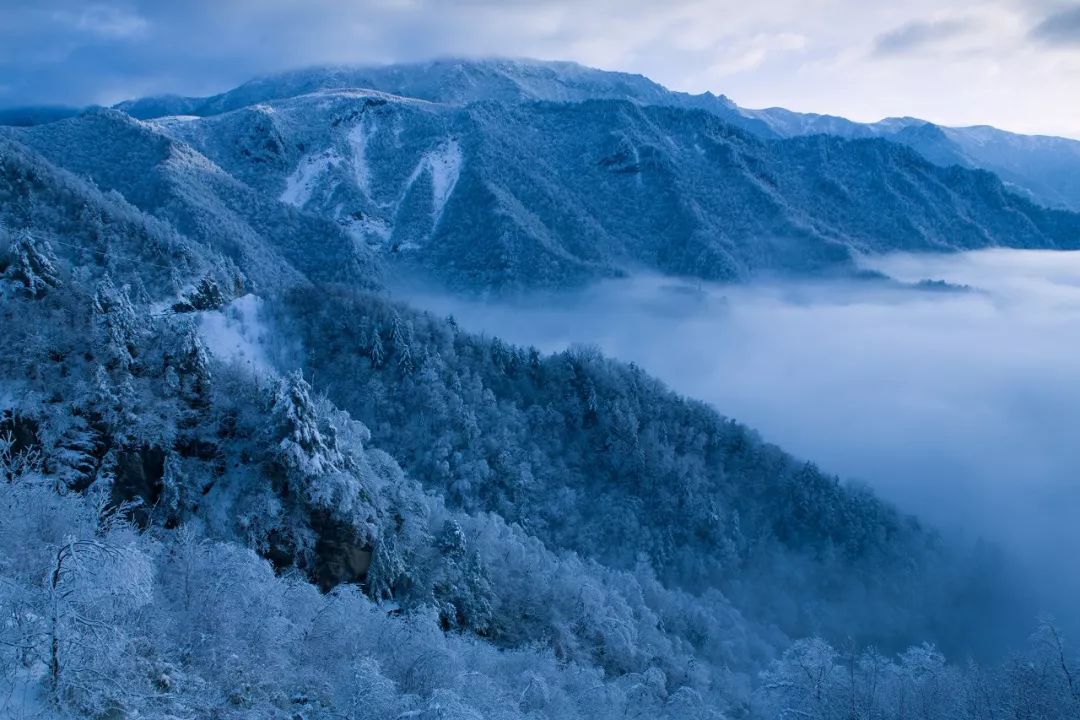 紫阳富硒茶现存问题