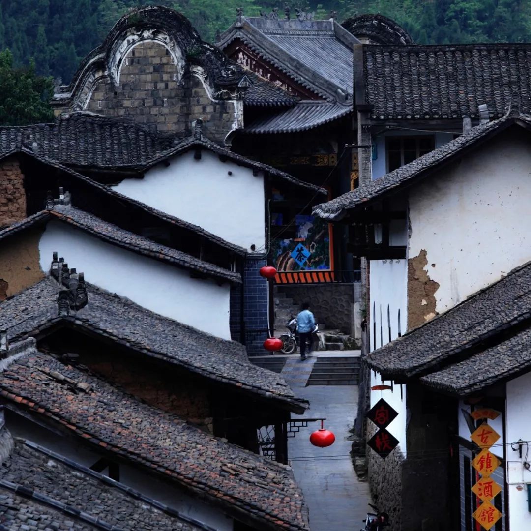 紫阳富硒茶现存问题