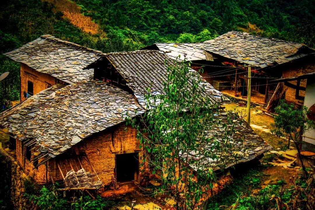 紫阳富硒茶现存问题