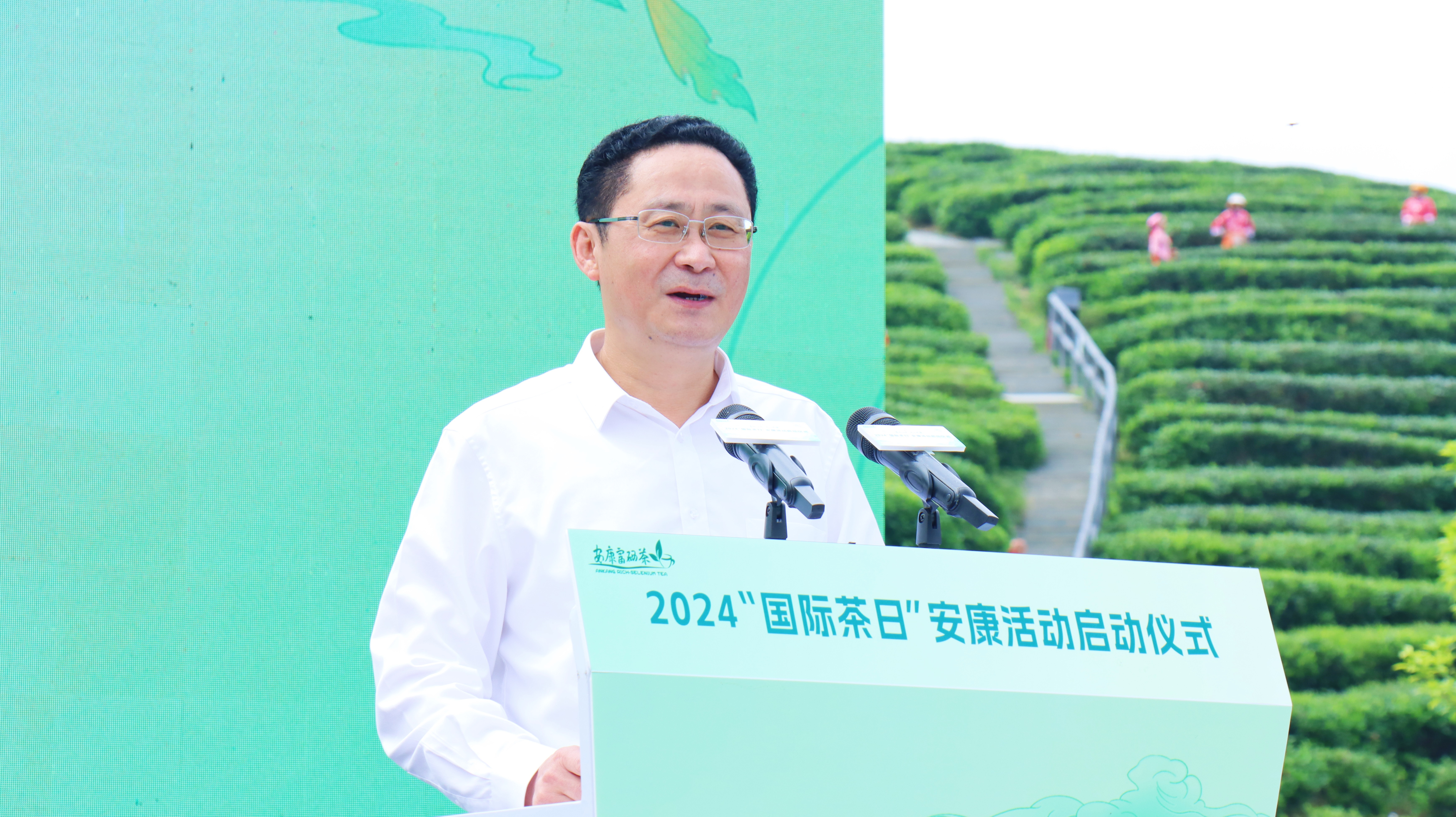 明前富锌富硒茶批发