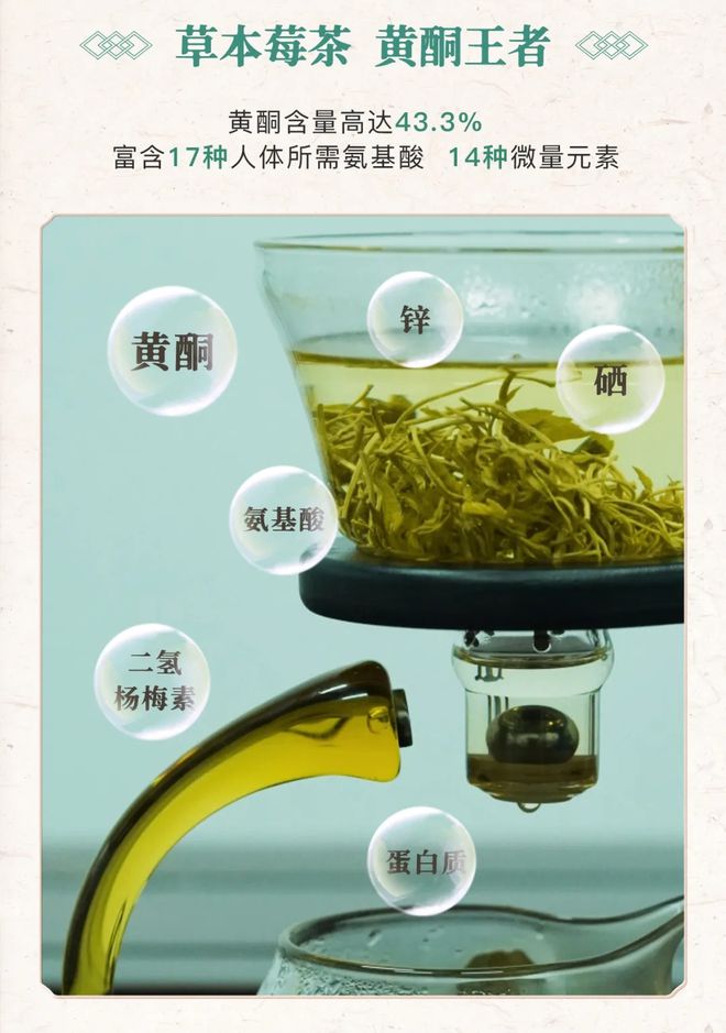 明前富锌富硒茶批发