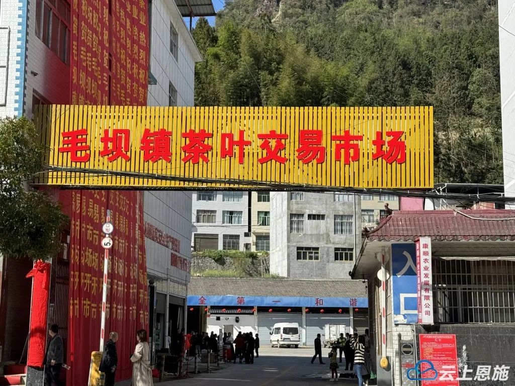 武汉富硒茶玉露费用