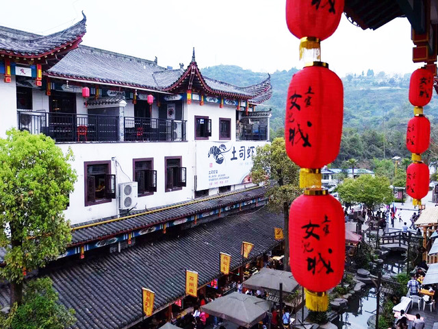 恩施富硒茶采摘时间