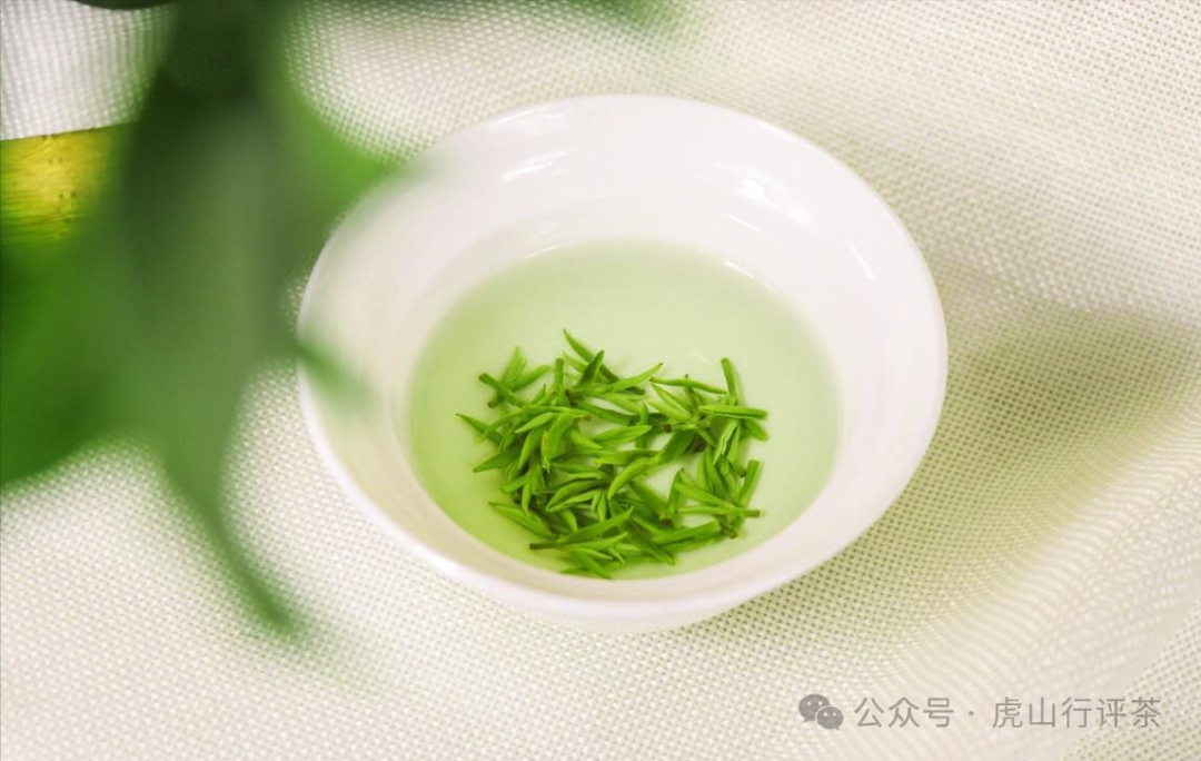 恩施富硒茶采摘时间
