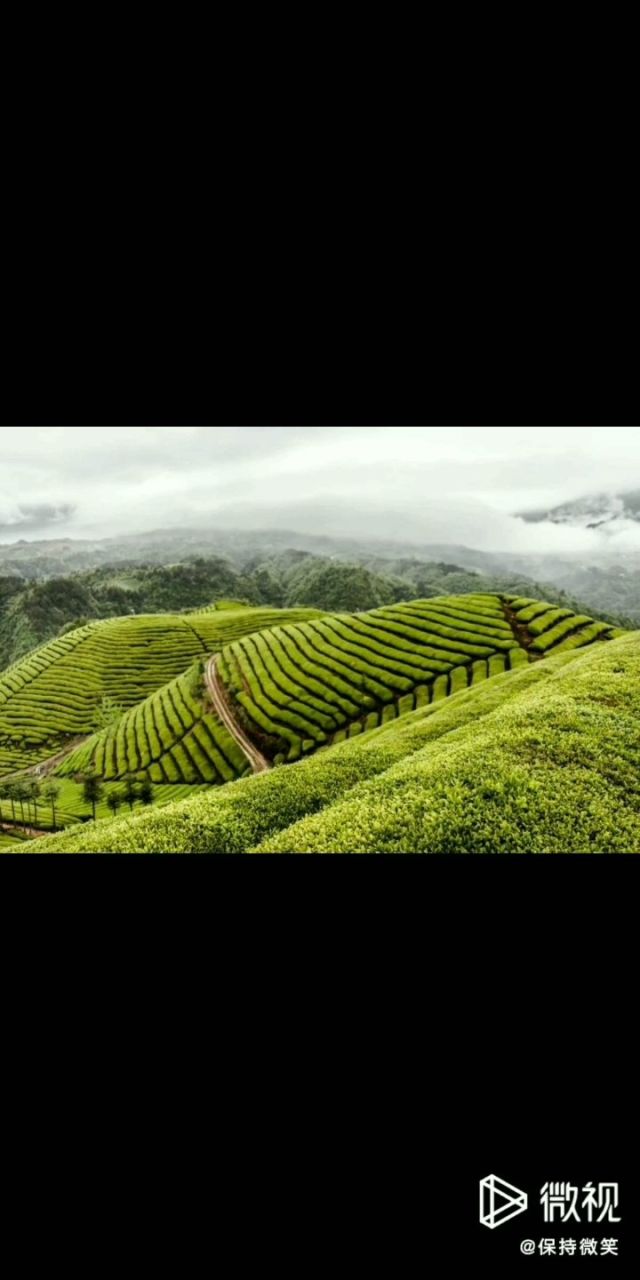 恩施富硒茶地域特点
