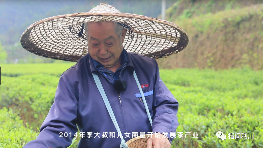 利川富硒茶绿茶价格