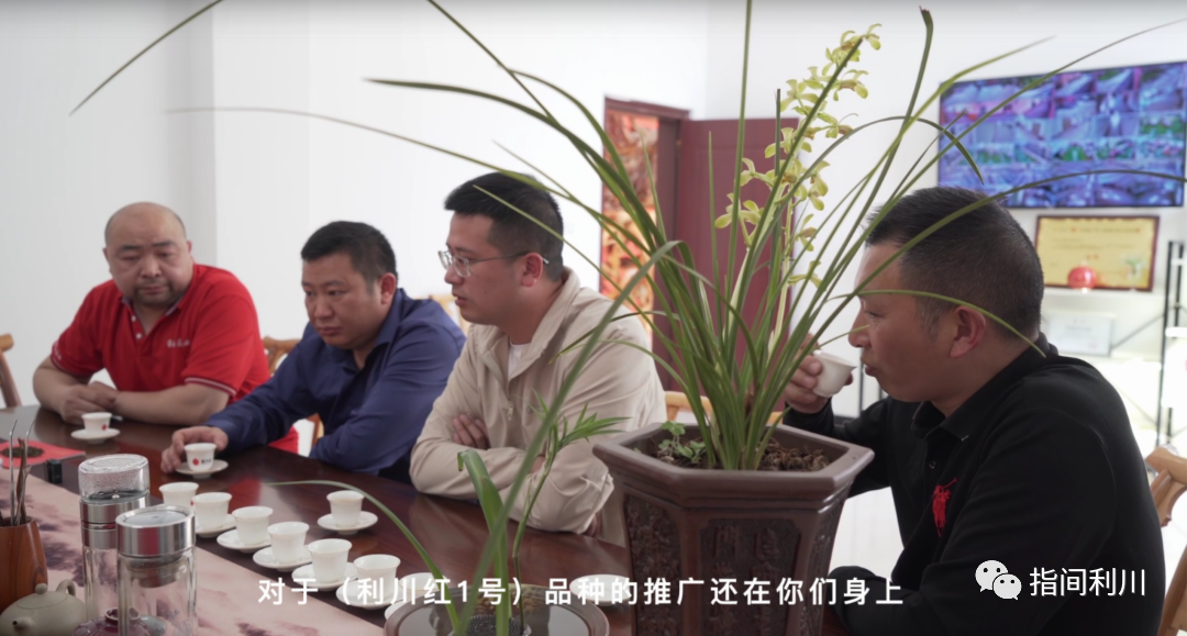 利川富硒茶绿茶价格