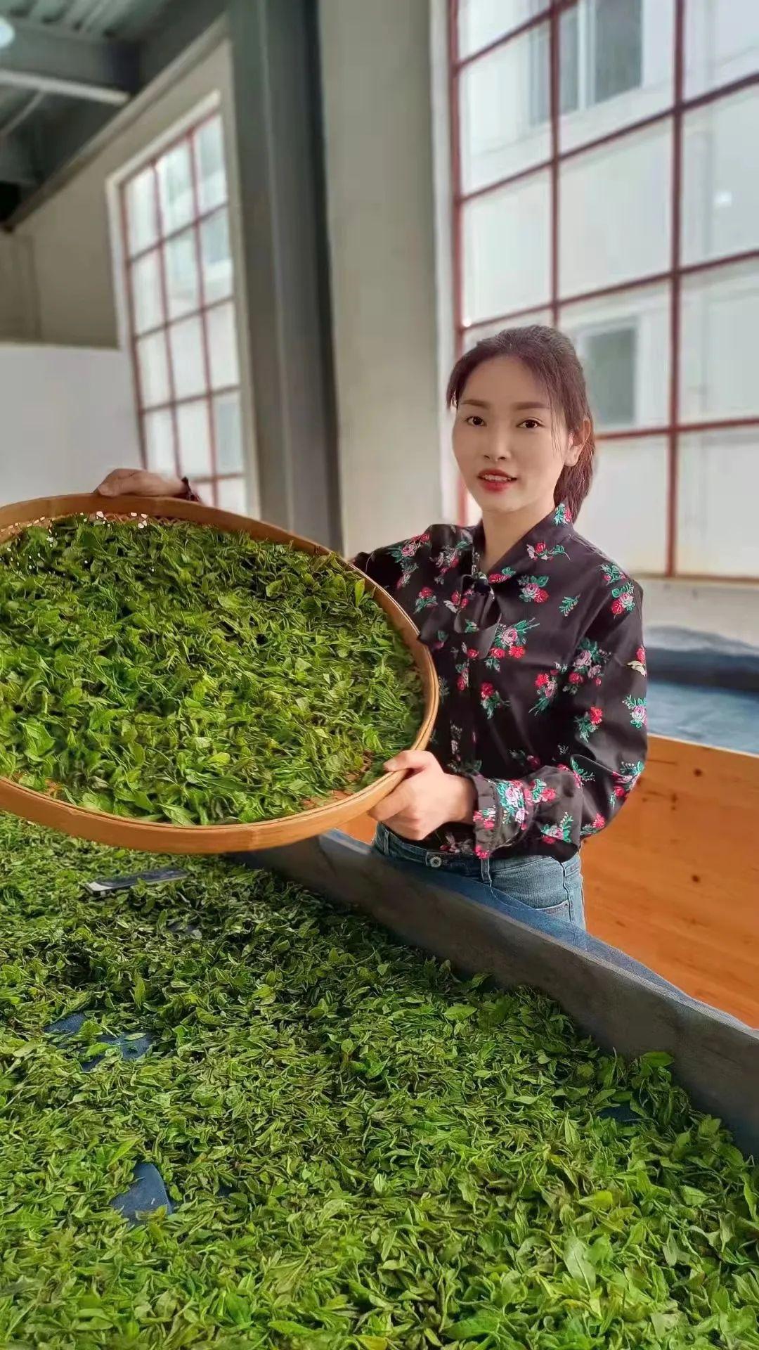 绞股蓝富硒茶的功效