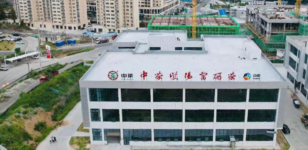 紫阳富硒茶 福禧园
