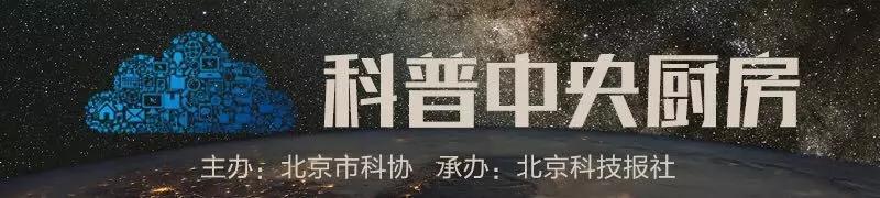 两岁半宝宝补钙哪种好