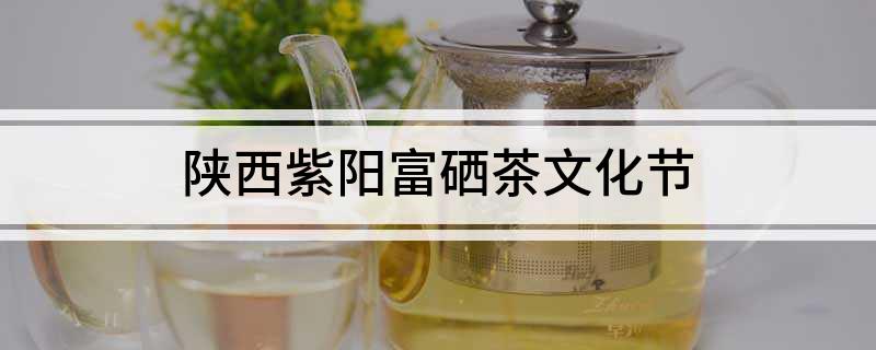 陕西紫阳富硒茶视频