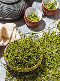 富硒高山云雾普洱茶