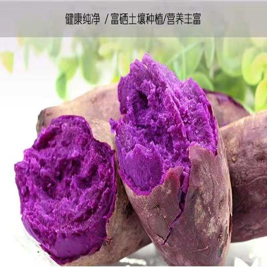 板栗补铁吗