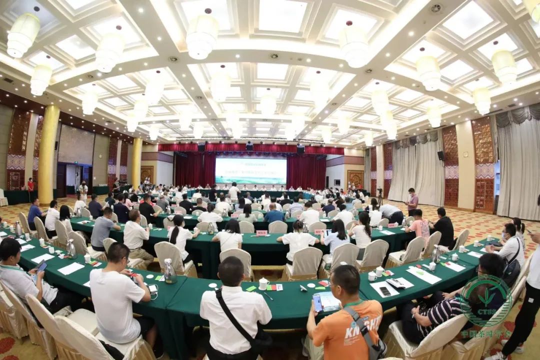 恩施富硒茶营销问题