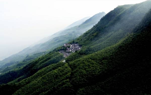 紫阳富硒茶营销状况