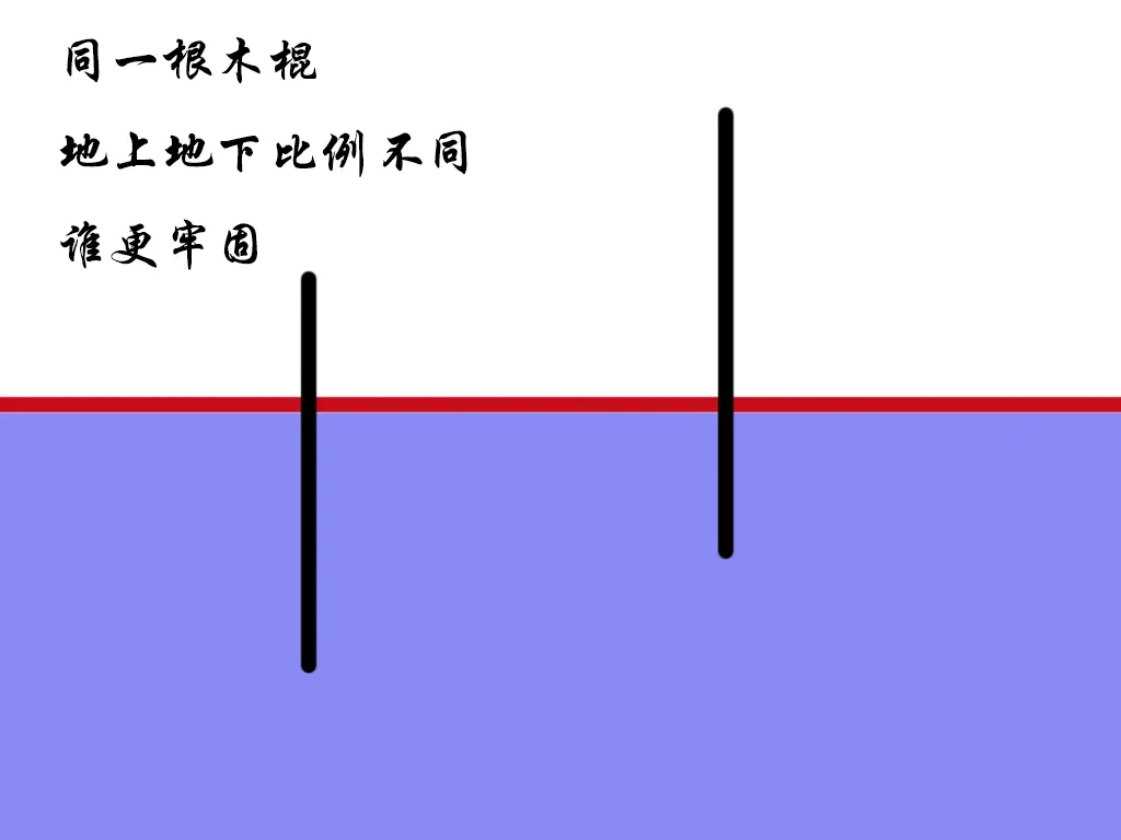 牙齿松动补钙有用吗