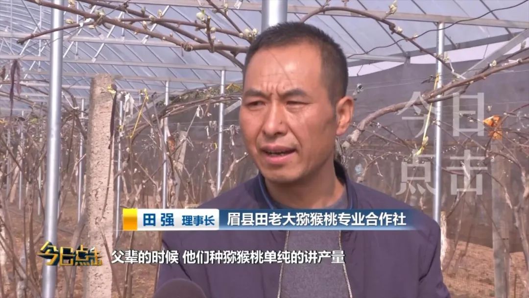 品牌紫阳富硒茶批发