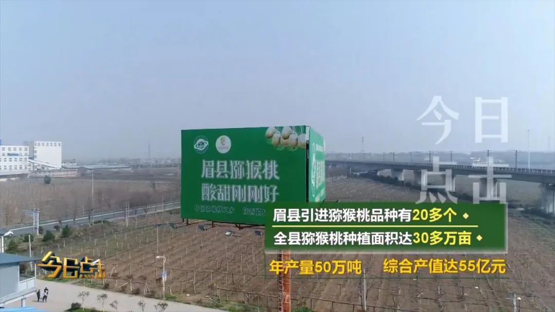 品牌紫阳富硒茶批发