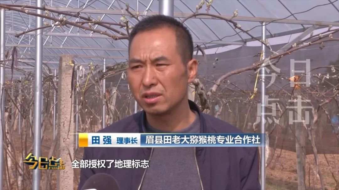 品牌紫阳富硒茶批发