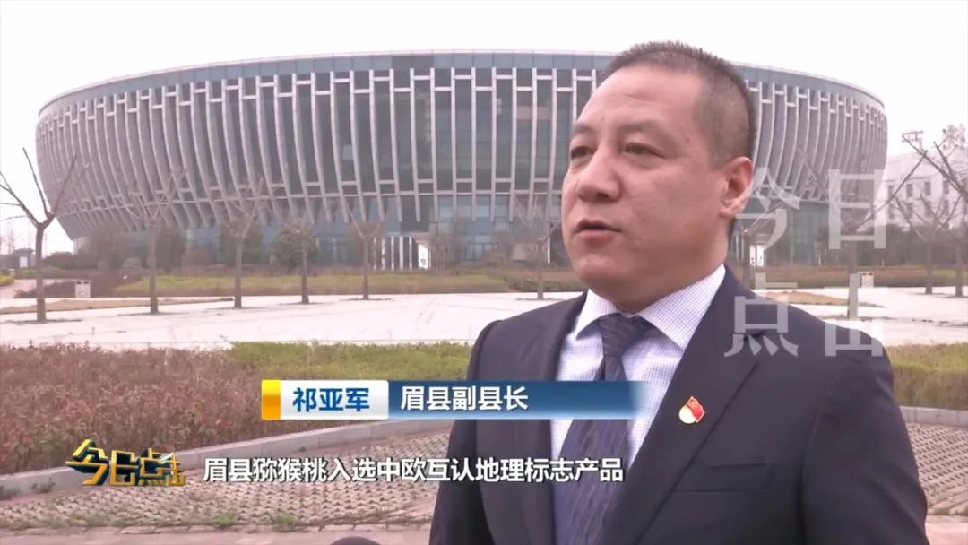 品牌紫阳富硒茶批发