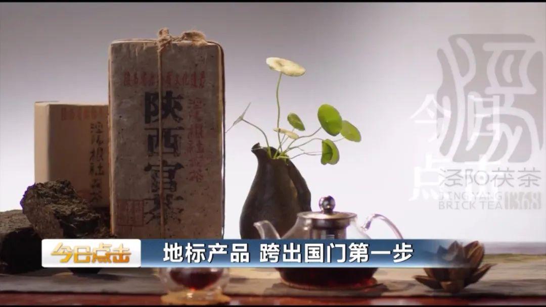 品牌紫阳富硒茶批发