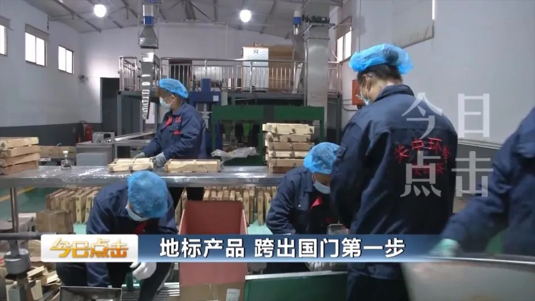 品牌紫阳富硒茶批发