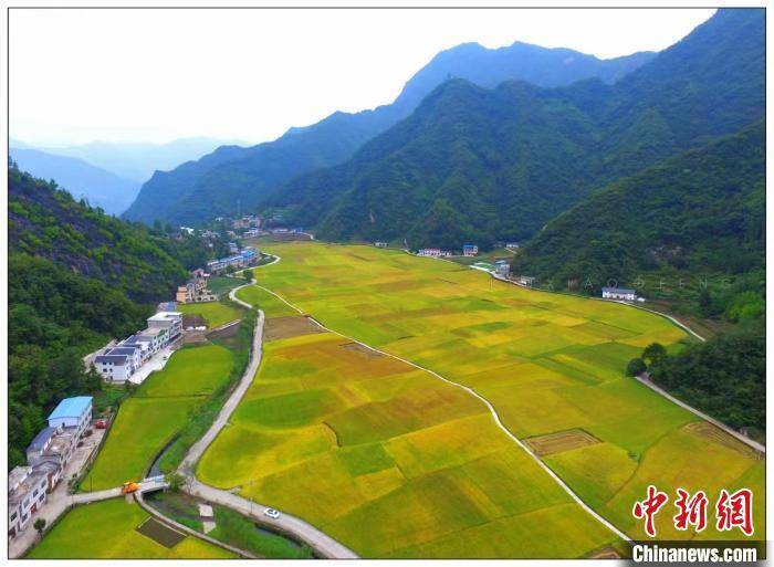 安康富硒茶品牌建设