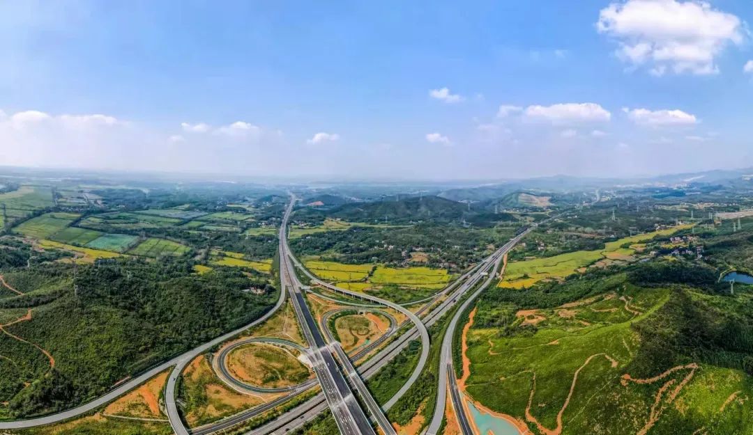 石台高山富硒茶介绍