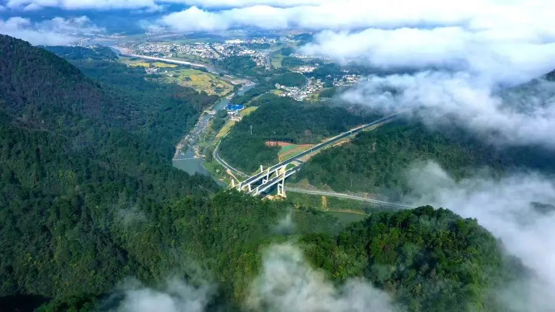 石台高山富硒茶介绍