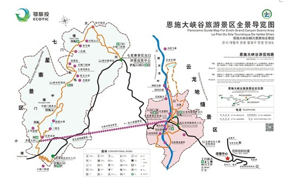 恩施特产恩施富硒茶