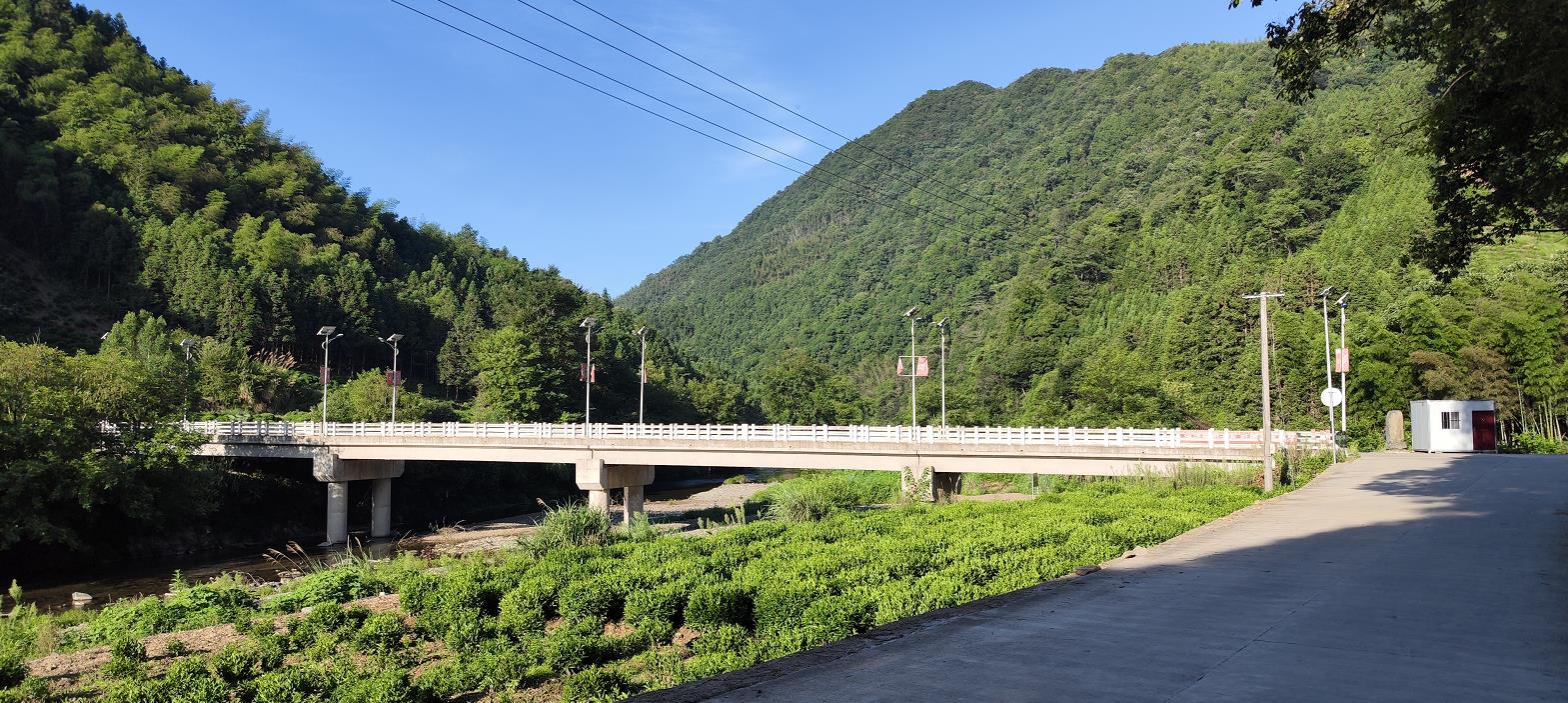 安徽石台野生富硒茶