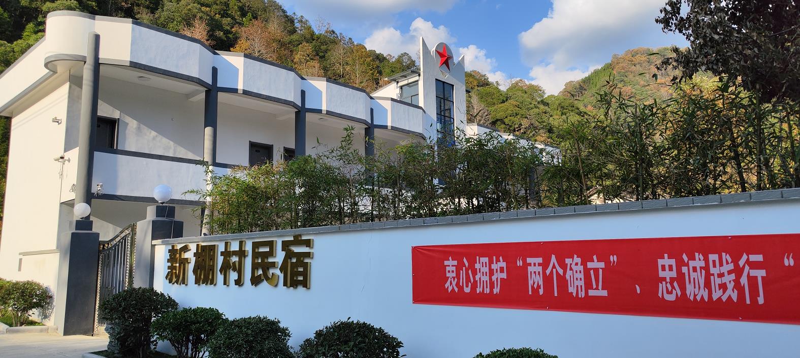 安徽石台野生富硒茶
