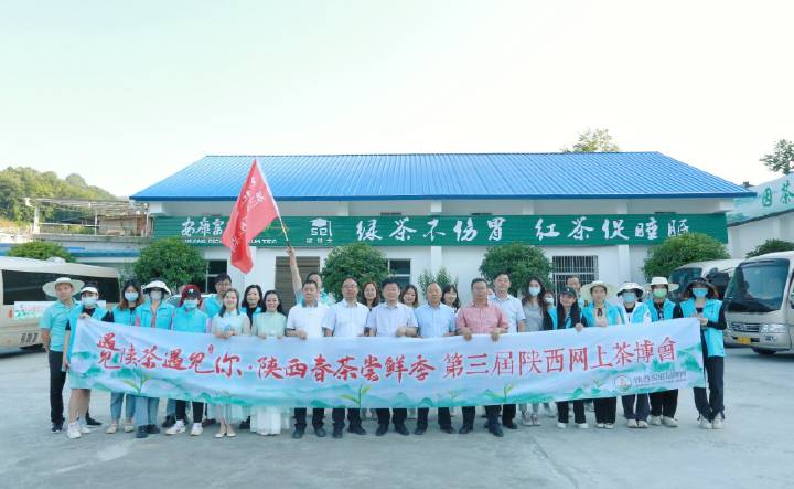 安康富硒茶直播岚皋