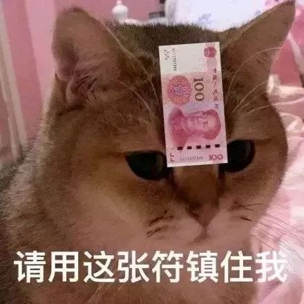 补钙可以提高免疫力吗